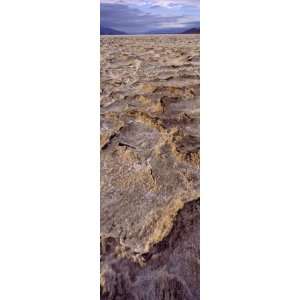 Textured Salt Flats, Death Valley National Park, California, USA 