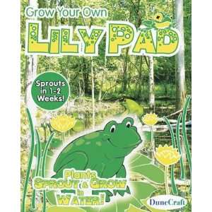  DuneCraft Grow Your Own Lily Pad Toys & Games