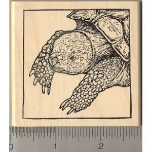  Large Russian Tortoise Rubber Stamp: Arts, Crafts & Sewing