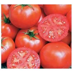  Tomatoes John Baer (25 Organic Seeds) Patio, Lawn 