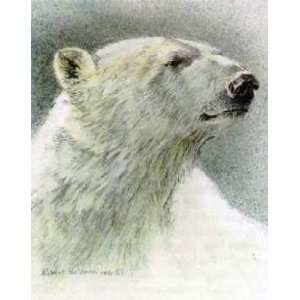  Robert Bateman   Polar Bear Portrait Predator Portfolio 