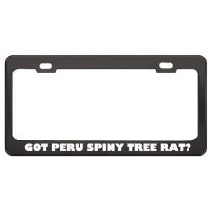 Got Peru Spiny Tree Rat? Animals Pets Black Metal License Plate Frame 