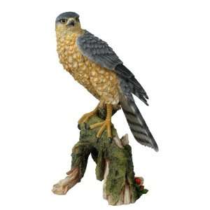 Sparrow Hawk Sculpture 