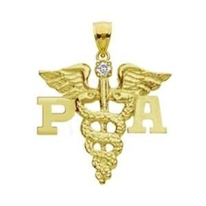     Physician Assistant PA Charm with Diamond in 14K Gold Jewelry