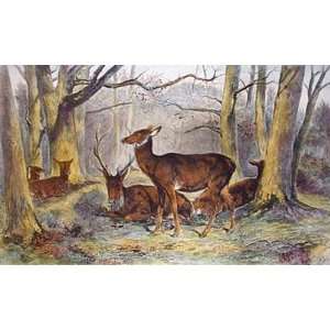  Repose Group of Deer Etching Bonheur, Rosa Gautier, Lucien 