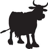  Walls on Cow  7 Vinyl Sticker Decal Animal Silhouette Wall Car