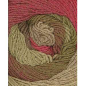  Knit One, Crochet Too Paint Box Yarn 22 Flower Garden 