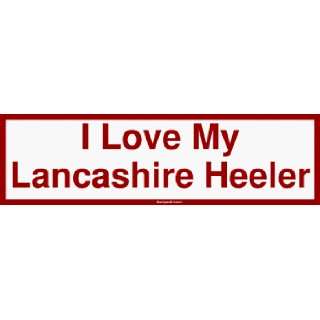  I Love My Lancashire Heeler Large Bumper Sticker 