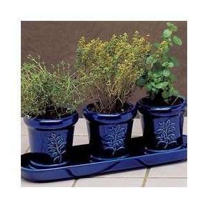   Herb Garden Trio with Organic Soil Pellets Patio, Lawn & Garden