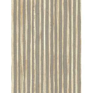   Jeffries PJ 3307 Zebra Grass   Earl Grey Wallpaper: Home Improvement