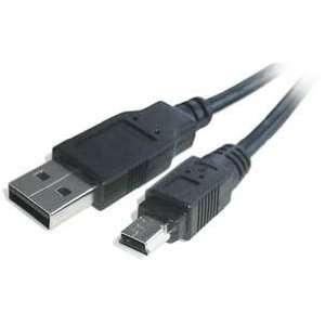    Micro Innovations Hi Speed USB 2.0 Cable (10 ft.) Electronics