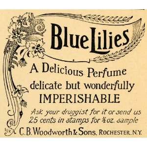  1893 Ad C B Woodworth & Sons Blue Lilies Perfume Scent 