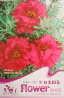 A041 Flower Red Sun Plant Portulaca Grandiflora Seed B  