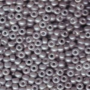   9526 Silver Gray Ceylon Miyuki Seed Beads Tube: Arts, Crafts & Sewing