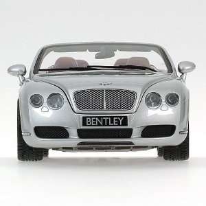   in SILVER Diecast Model Car in 1:18 Scale by Minichamps: Toys & Games