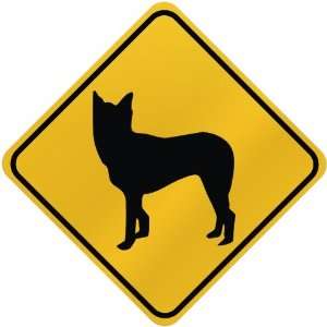  ONLY  MCNAB  CROSSING SIGN DOG