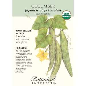  Cucumber Japanese Burpless Certified Organic Seed Patio 