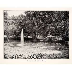  1902 Print Botanical Gardens Buitenzorg Island Java 