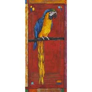  Windsor Vanguard VC1278 Colorful Macaw I by Unknown Size 