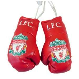  Liverpool Mini Boxing Gloves: Sports & Outdoors