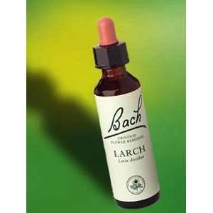  Nelson Bach   Larch Flower Essence 20 ml Health 