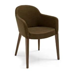  CS/1110 Gossip Upholstered Arm Chair: Home & Kitchen