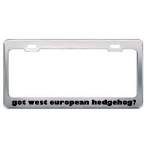Got West European Hedgehog? Animals Pets Metal License Plate Frame 