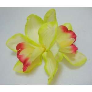   Bright Lime Green and Pink Orchid Flower Hair Clip, Limited.: Beauty