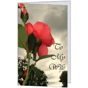 Sweetest Day Romantic Love Wife Her Spouse Friend rose Greetiing Card 