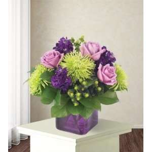Same Day Flower Delivery Purple Passion  Grocery & Gourmet 