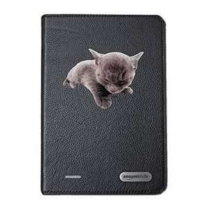  Russian Blue on  Kindle Cover Second Generation  