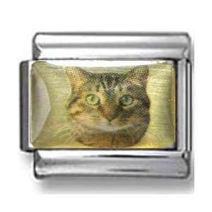  Pixiebob Cat Photo Italian Charm Jewelry