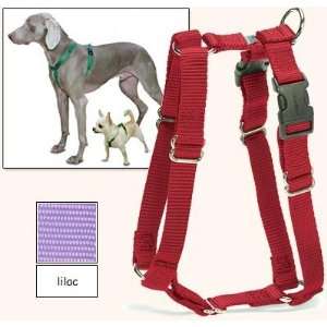  Sure Fit Dog Harness, 5 Way Adjustability for a Perfect 