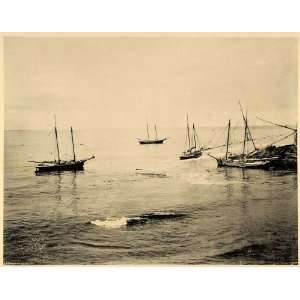  1894 Shipping Lumber Mendocino Coast Ships CA Print 