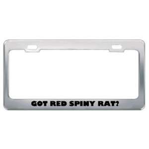  Red Spiny Rat? Animals Pets Metal License Plate Frame Holder Border 