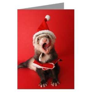 10 pack Christmas cards, Fa la la la la, joyful Pets Greeting Cards Pk 