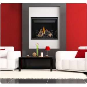   Clean Face High Definition Gas Fireplace   Natural Gas