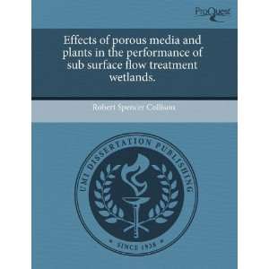 Effects of porous media and plants in the performance of sub surface 