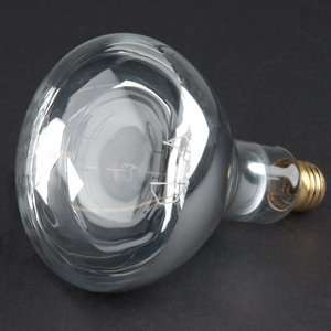  250 Watt Clear Heat Lamp Light Bulb: Home Improvement