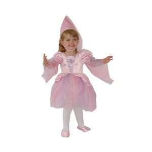    Pink Little Princess Dress Costume: Girls Size 2T: Toys & Games