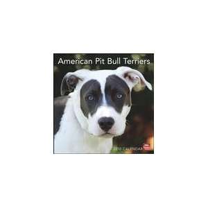  American Pit Bull Terriers 2010 Wall Calendar 12 X 12 