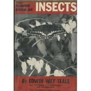  THE JUNIOR BOOK OF INSECTS. INTERESTING FACTS ABOUT THE 