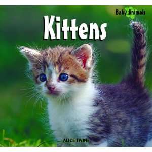  Kittens (Baby Animals) (9781404241442): Alice Twine: Books