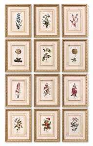 Set 12 Floral Traditional Botanical Framed Repro Prints  
