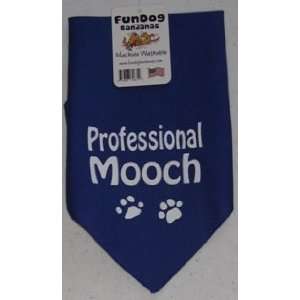  Professional Mooch Bandana, Royal Blue  1 size fits most 