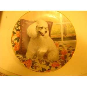    White Poodle the Hamilton Collection Plate: Everything Else
