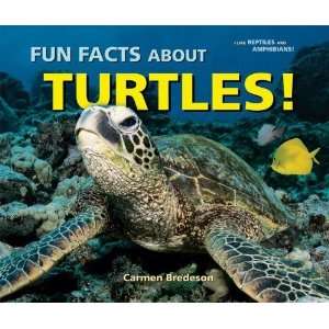  Fun Facts About Turtles (I Like Reptiles and Amphibians 