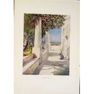 Capri Italy C1919 Old Print Fine Art Antique Color