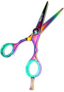 Professional Hairdressing Scissor  