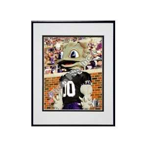  Texas Christian Horned Frogs Mascot 2003 Double Matted 